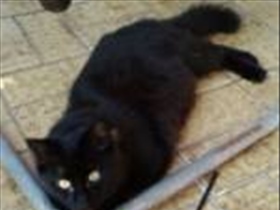 LittleMau17 - Bild 5