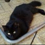 LittleMau17 - Bild 5