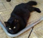 LittleMau17 - Bild 5