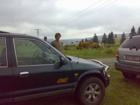 HP-Motorsport - Bild 3
