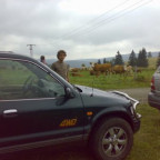 HP-Motorsport - Bild 3