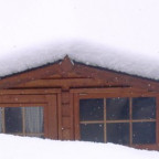Hasenase - Bild 11