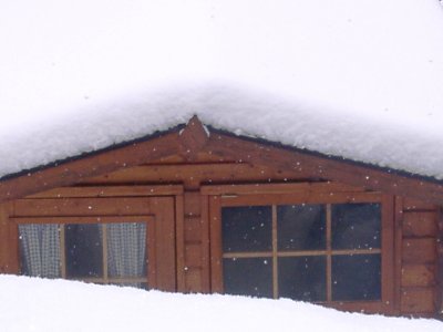 Hasenase - Bild 11