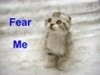M_B - Bild 2