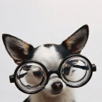 sunny_xD - Bild 4