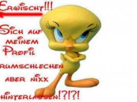 schweiz15 - Bild 2