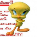 schweiz15 - Bild 2