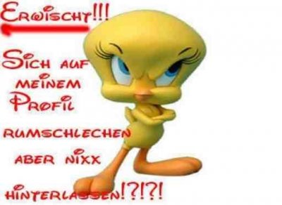 schweiz15 - Bild 2