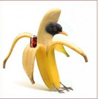 Colamsel - Bild 7