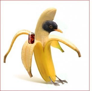 Colamsel - Bild 7