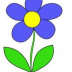 juliiiii - Bild 5