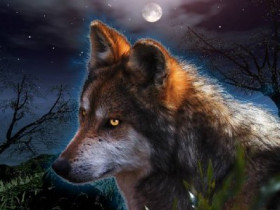WolfHunter2004 - Bild 8