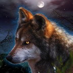 WolfHunter2004 - Bild 8