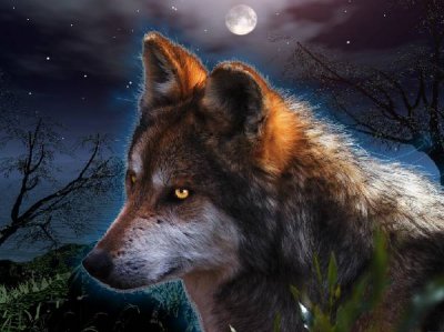 WolfHunter2004 - Bild 8