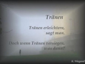 DieUngeborene - Bild 3