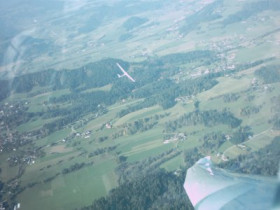 karawankenbaer - Bild 3