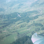 karawankenbaer - Bild 3