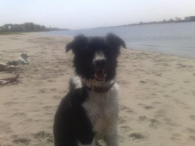 eilgom1234 - Bild 2