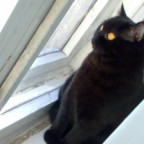 Bonnie_K - Bild 2
