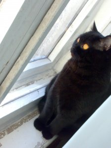 Bonnie_K - Bild 2