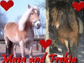 cocolein - Bild 2