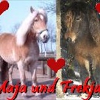 cocolein - Bild 2