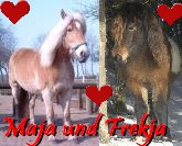 cocolein - Bild 2