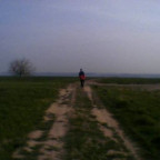 MrMuff - Bild 8