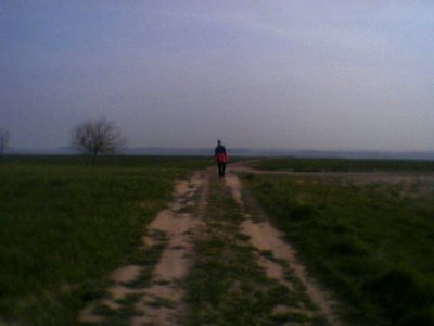 MrMuff - Bild 8