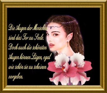 Soffy3 - Bild 3