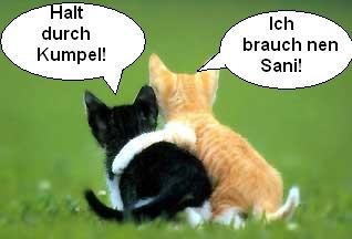 Schnappy1974 - Bild 3