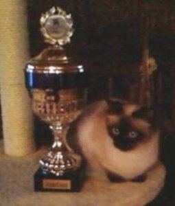 LittleMau17 - Bild 2
