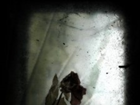 Sunie23 - Bild 3