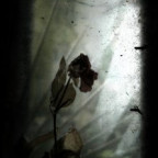 Sunie23 - Bild 3