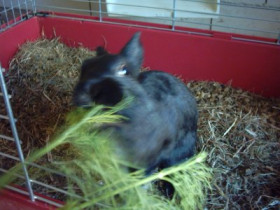 sunny439 - Bild 4