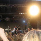 Tammy - Bild 3