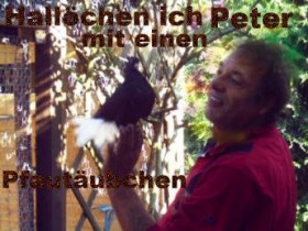 tiereundmehr - Bild 1