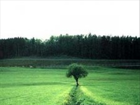 Heavens-Angel - Bild 2