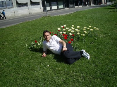 pllumi - Bild 1