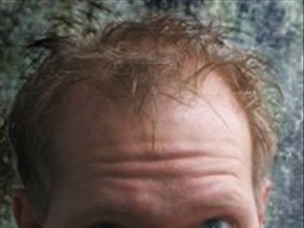 wolterdigifoto - Bild 1