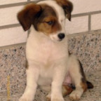 zoran-web - Bild 2
