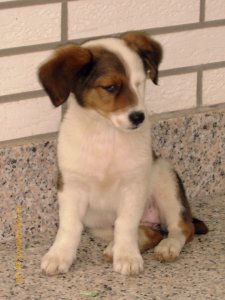 zoran-web - Bild 2