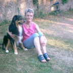 Lassie - Bild 3