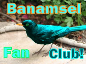 Colamsel - Bild 3