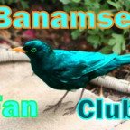 Colamsel - Bild 3