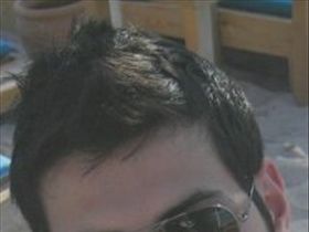 toll - Bild 7