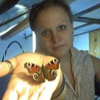 Bibimausi - Bild 3