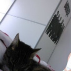 Given_Up - Bild 5