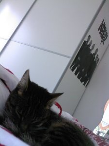 Given_Up - Bild 5