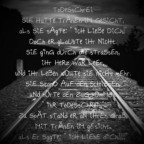 xsonnenscheinx12 - Bild 11
